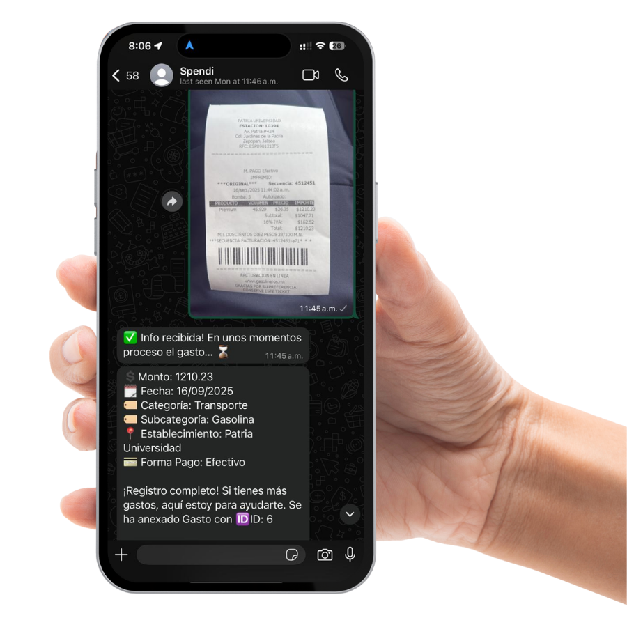 Spendi WhatsApp Interface